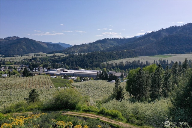 0 Ludwig Hill Rd, Peshastin, WA 98847