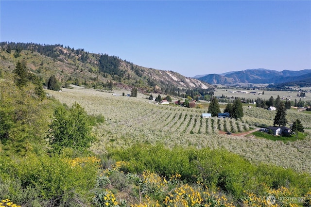 0 Ludwig Hill Rd, Peshastin, WA 98847