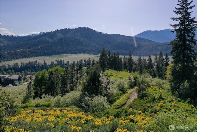 0 Ludwig Hill Rd, Peshastin, WA 98847