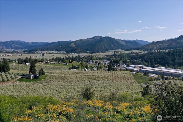 0 Ludwig Hill Rd, Peshastin, WA 98847