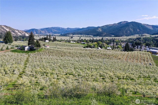 0 Ludwig Hill Rd, Peshastin, WA 98847
