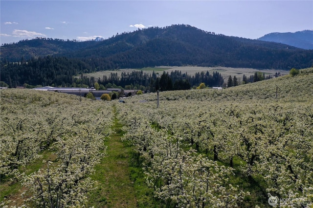 0 Ludwig Hill Rd, Peshastin, WA 98847