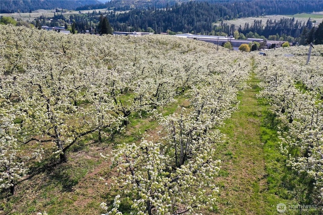 0 Ludwig Hill Rd, Peshastin, WA 98847