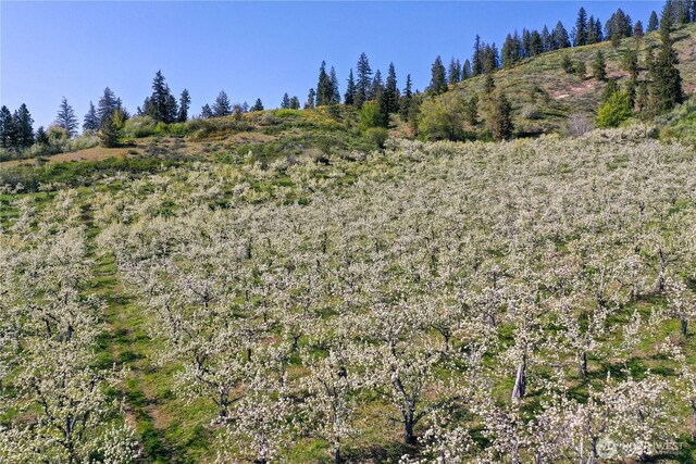 0 Ludwig Hill Rd, Peshastin, WA 98847