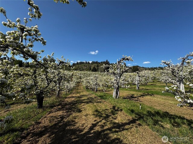 0 Ludwig Hill Rd, Peshastin, WA 98847