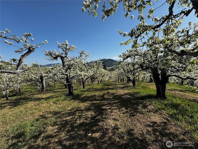 0 Ludwig Hill Rd, Peshastin, WA 98847