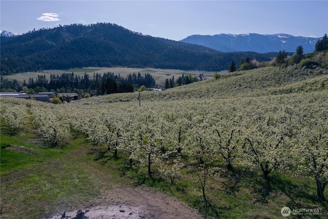 0 Ludwig Hill Rd, Peshastin, WA 98847