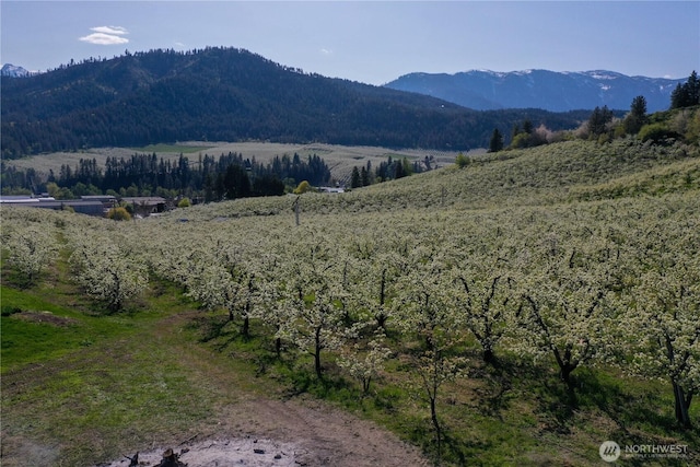 0 Ludwig Hill Rd, Peshastin, WA 98847