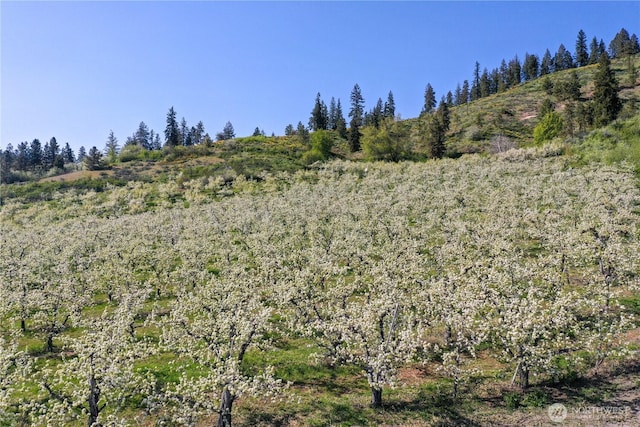 0 Ludwig Hill Rd, Peshastin, WA 98847