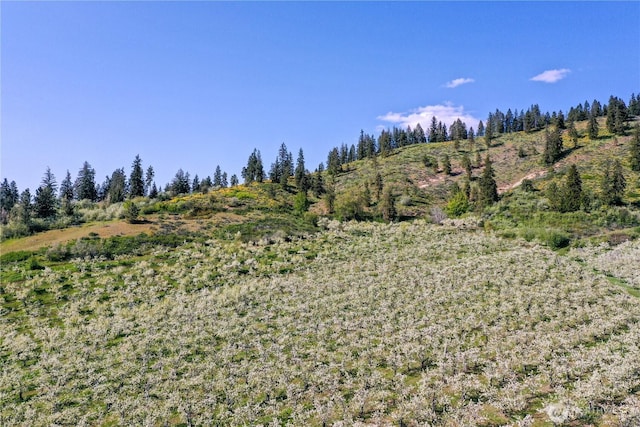 0 Ludwig Hill Rd, Peshastin, WA 98847