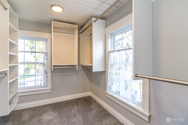 spacious closet featuring carpet