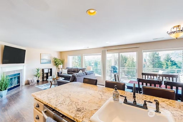 kitchen with light stone countertops, dark hardwood / wood-style flooring, plenty of natural light, and sink