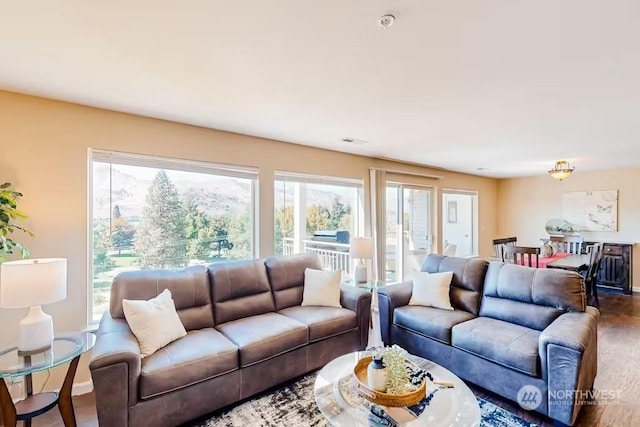 living room with hardwood / wood-style floors and a healthy amount of sunlight