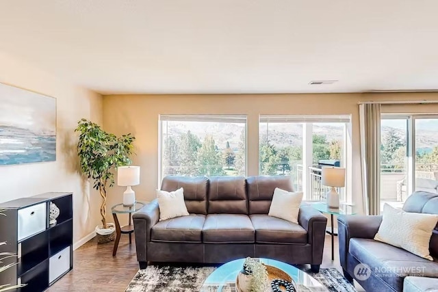 living room with wood-type flooring and plenty of natural light