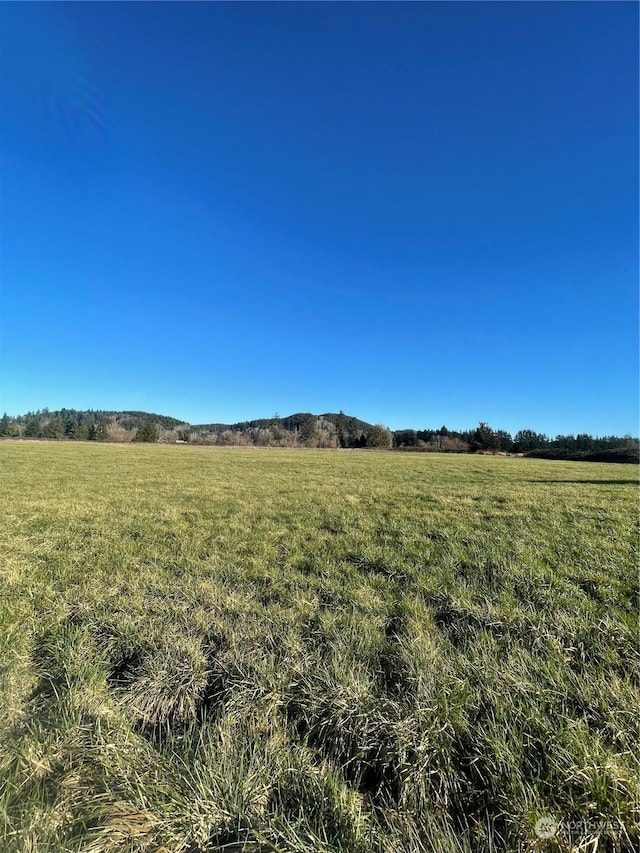 view of local wilderness with a rural view