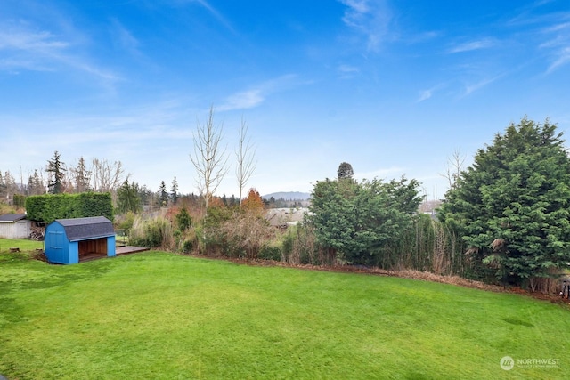 view of yard featuring a shed