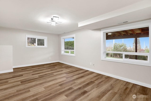 spare room featuring wood-type flooring