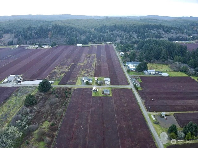 2978 Alexson Rd, North Cove, WA 98547 - aerial view of a mountainous background and a forest