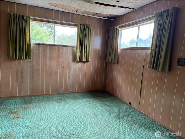 2978 Alexson Rd, North Cove, WA 98547 - unfurnished room featuring wooden walls and carpet flooring