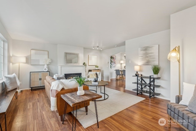 living room with hardwood / wood-style floors