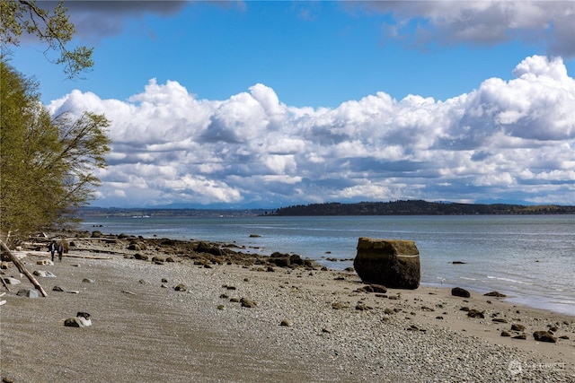 property view of water with a beach view