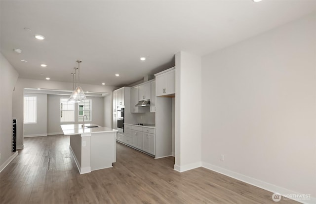 9014 NE 203rd Ln Unit B, Bothell, WA 98011 - kitchen featuring a sink, a kitchen island with sink, under cabinet range hood, wood finished floors, and recessed lighting