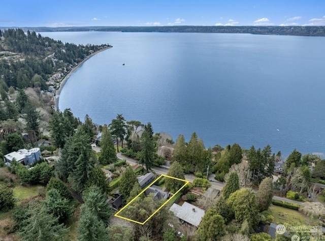 aerial view with a water view