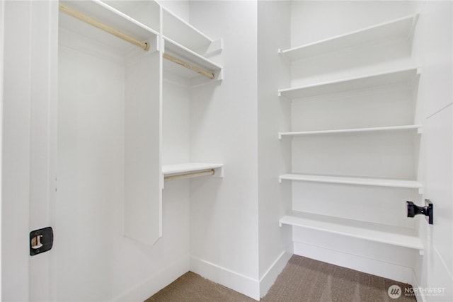 spacious closet featuring carpet floors