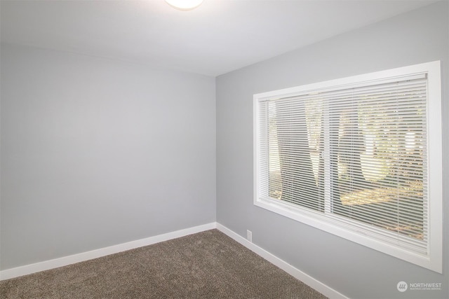 empty room featuring carpet