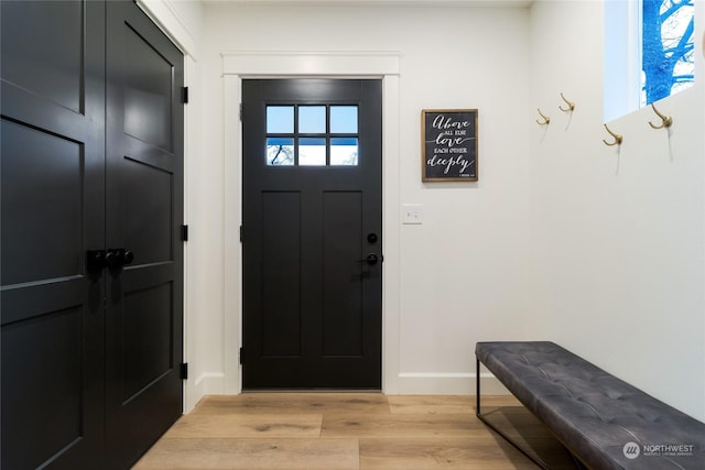 entrance foyer with light hardwood / wood-style flooring