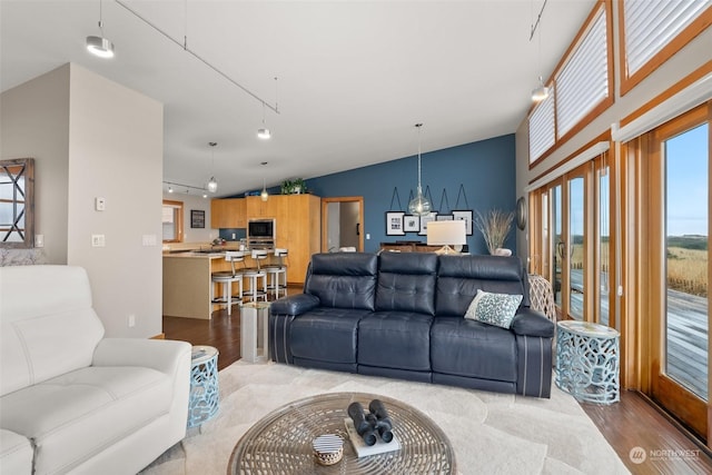 living room featuring light hardwood / wood-style flooring and track lighting