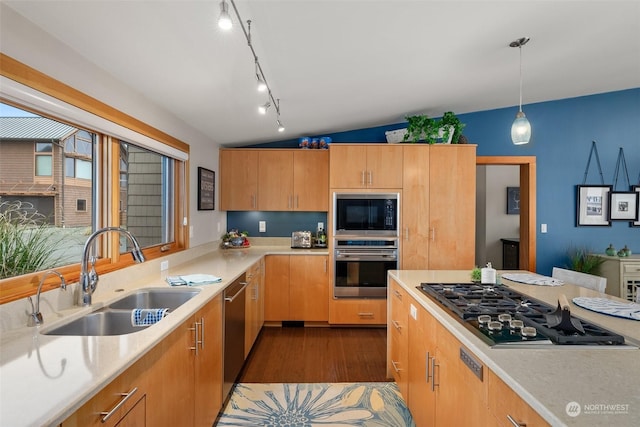 kitchen with dark wood-type flooring, sink, hanging light fixtures, vaulted ceiling, and stainless steel appliances