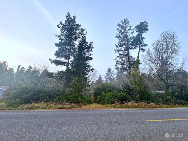 285XX U St, Ocean Park WA, 98640 land for sale