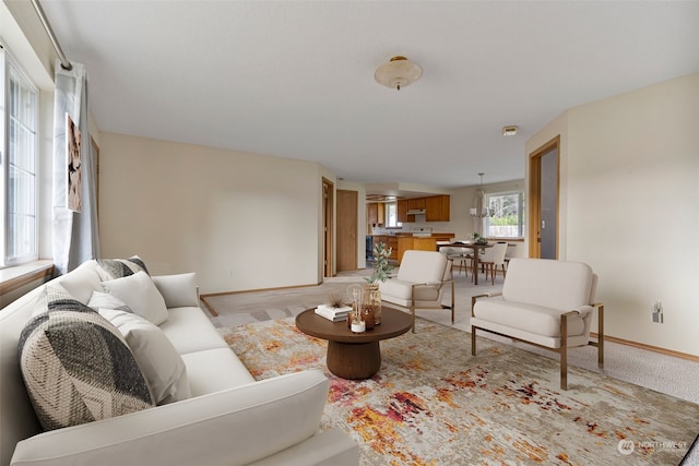 living room featuring light carpet