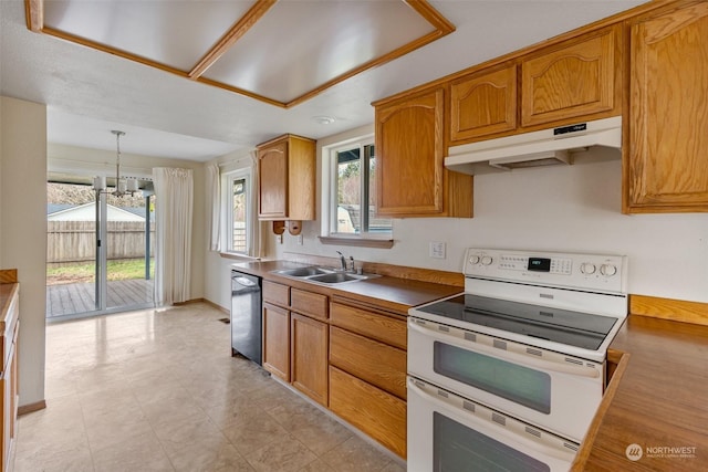 kitchen featuring electric range, stainless steel dishwasher, sink, and a wealth of natural light