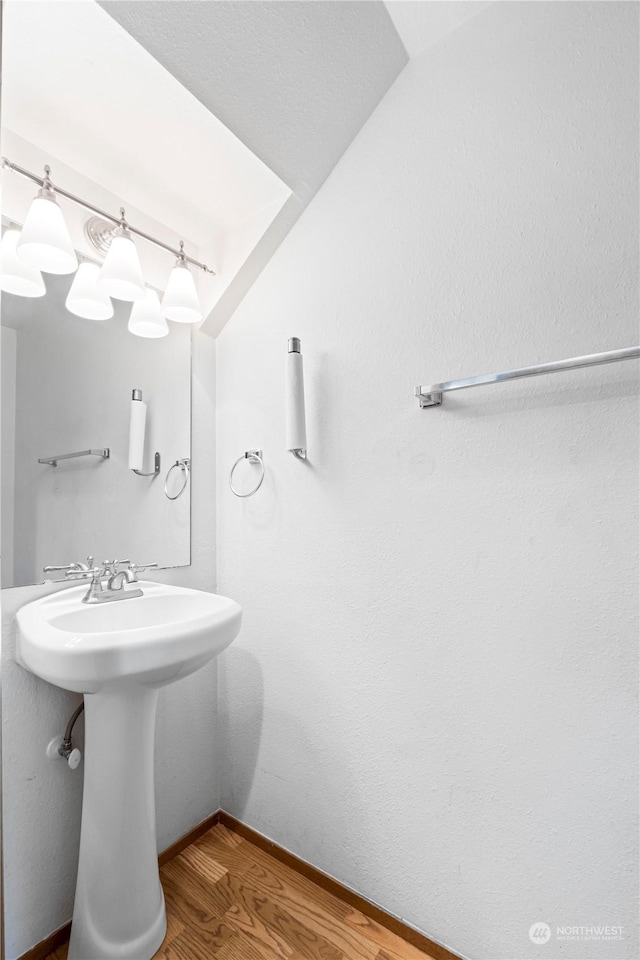 bathroom featuring hardwood / wood-style floors