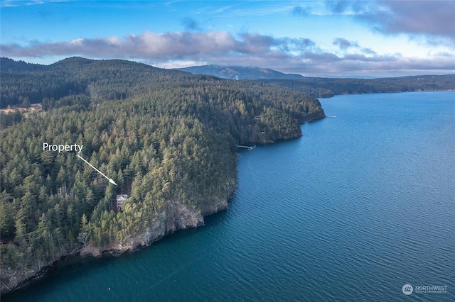 bird's eye view with a water and mountain view