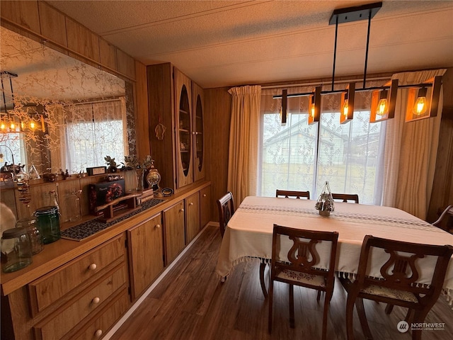 dining space with dark hardwood / wood-style flooring, a textured ceiling, and wooden walls