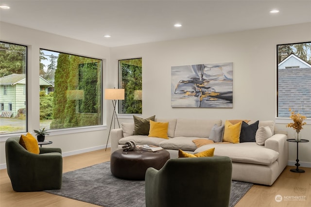 living room with light hardwood / wood-style flooring