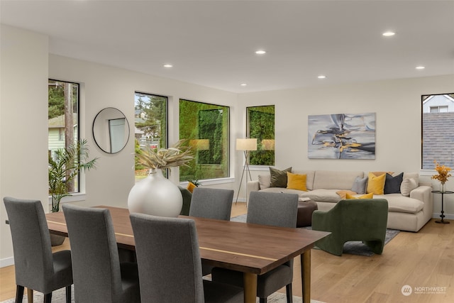 dining space with light hardwood / wood-style floors