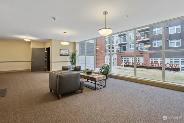 living room featuring carpet floors