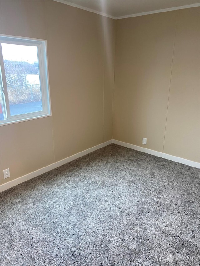 empty room featuring crown molding and carpet floors