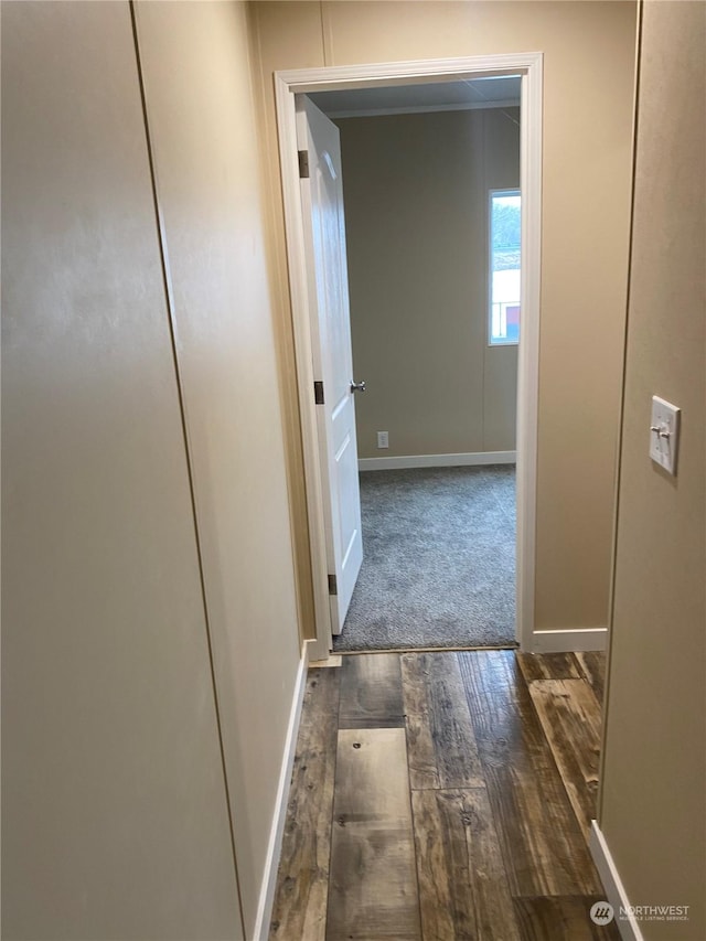 hallway with dark wood-type flooring