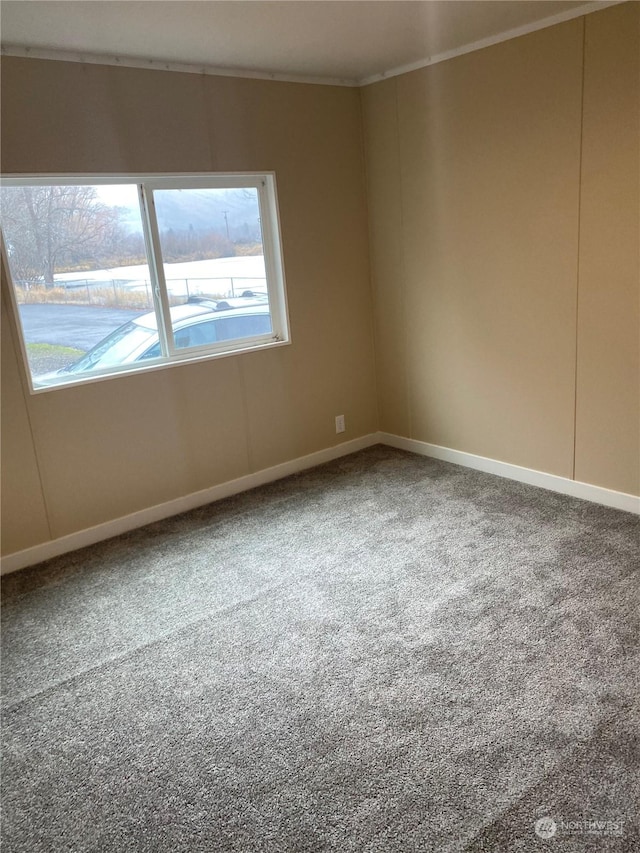 empty room with carpet floors and crown molding