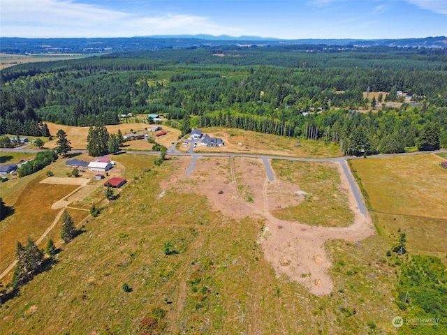 607 Brown Rd E, Adna, WA 98522 - photo 24