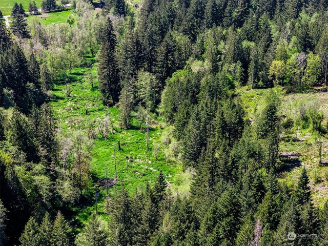 607 Brown Rd E, Adna, WA 98522 - photo 20