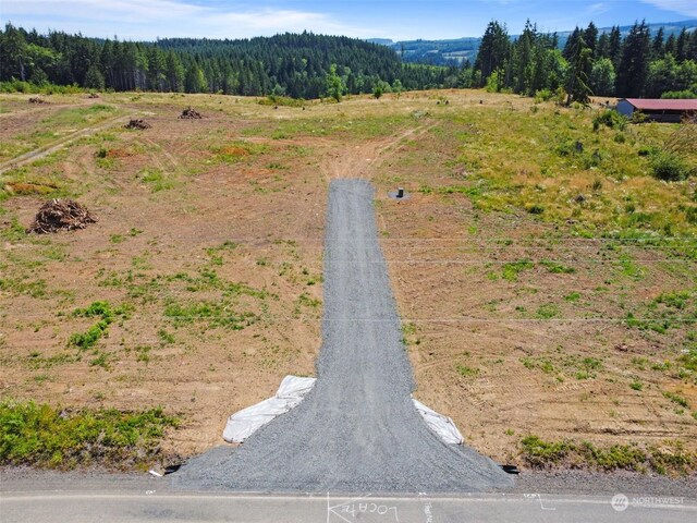 607 Brown Rd E, Adna, WA 98522 - photo 11