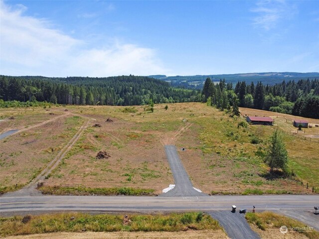 607 Brown Rd E, Adna, WA 98522 - photo 33