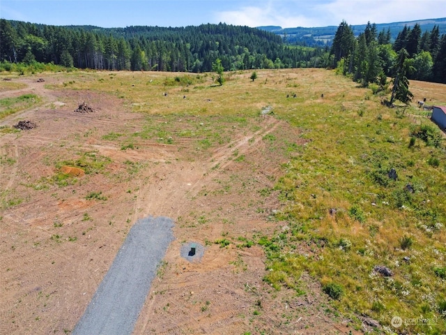 607 Brown Rd E, Adna, WA 98522 - photo 7