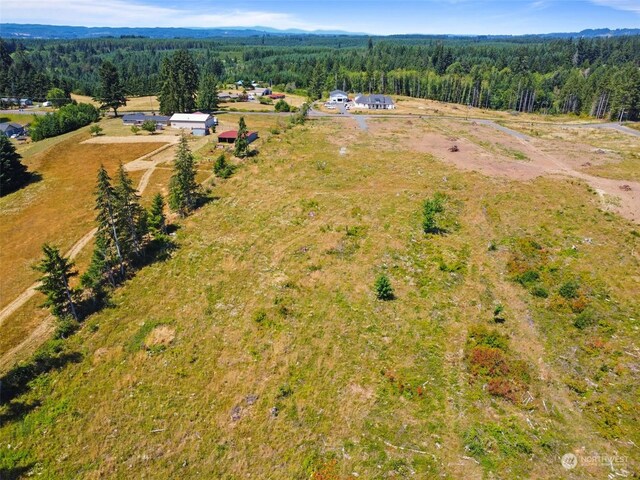 607 Brown Rd E, Adna, WA 98522 - photo 22